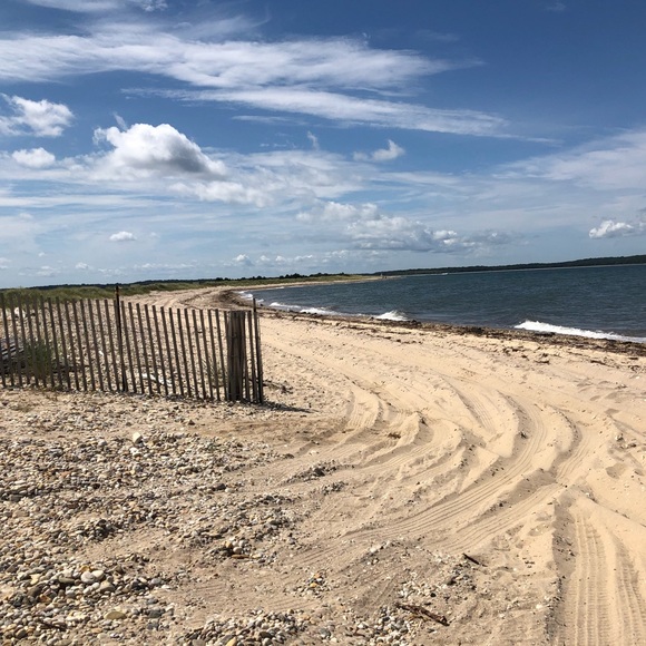 Meet your Posher, Gina - Picture 1 of 1